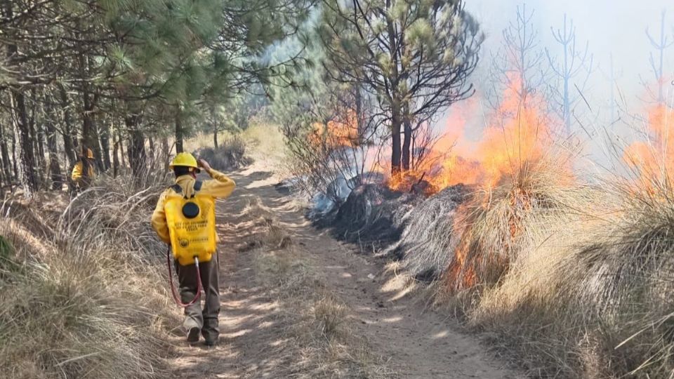 Autoridades mexiquenses tienen brigadas para el control de incendios.