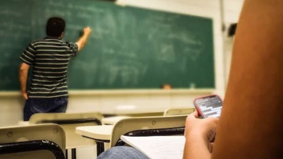 Es importante contar con la licenciatura en Educación, Pedagogía o en Ciencias Sociales.