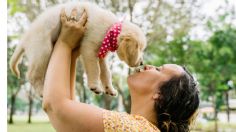 Cinco consejos de limpieza para eliminar totalmente los pelos de tus mascotas