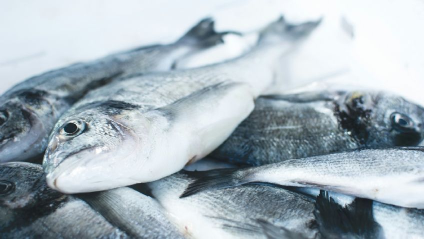 Pescado barato por menos de 100 pesos para cuatro personas