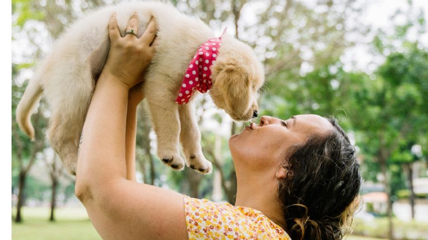 Cinco consejos de limpieza para eliminar totalmente los pelos de tus mascotas