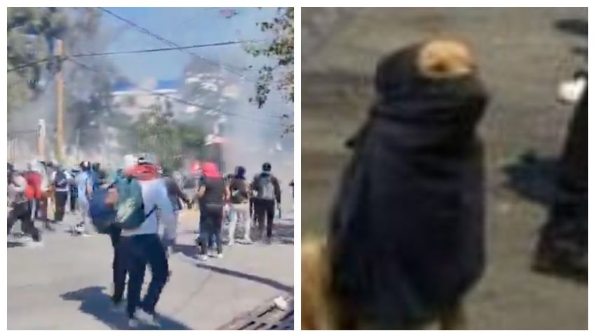 ¿Qué hay detrás de la FOTO viral del perrito "combativo" presente en protestas de Ayotzinapa?