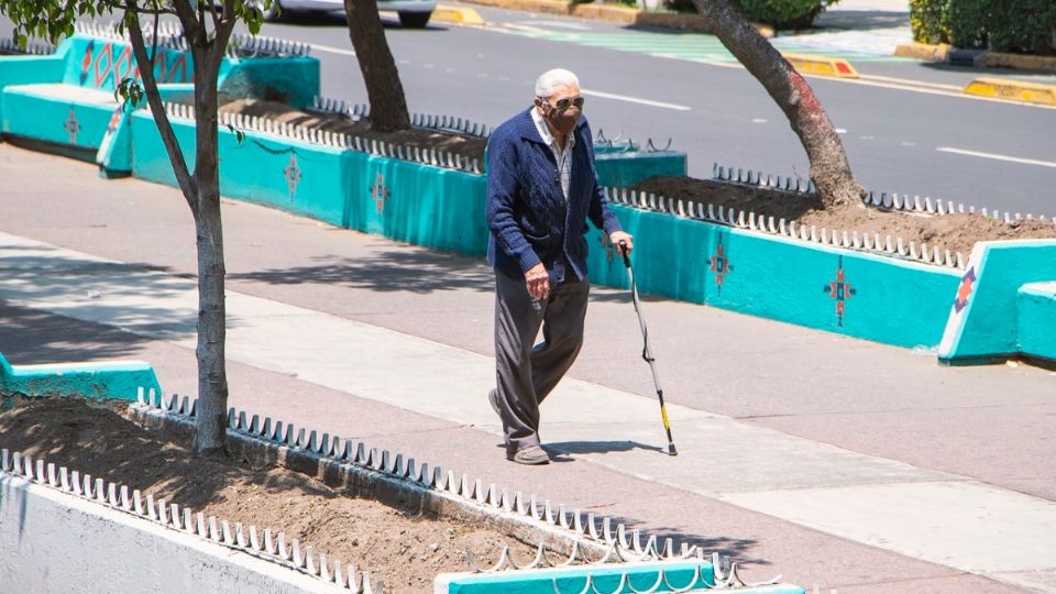 Adulto de la tercera edad caminando