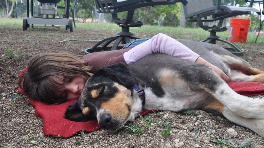 ¡Échate un ‘coyotito’! Invitan a una “siesta masiva” en la CDMX este fin de semana