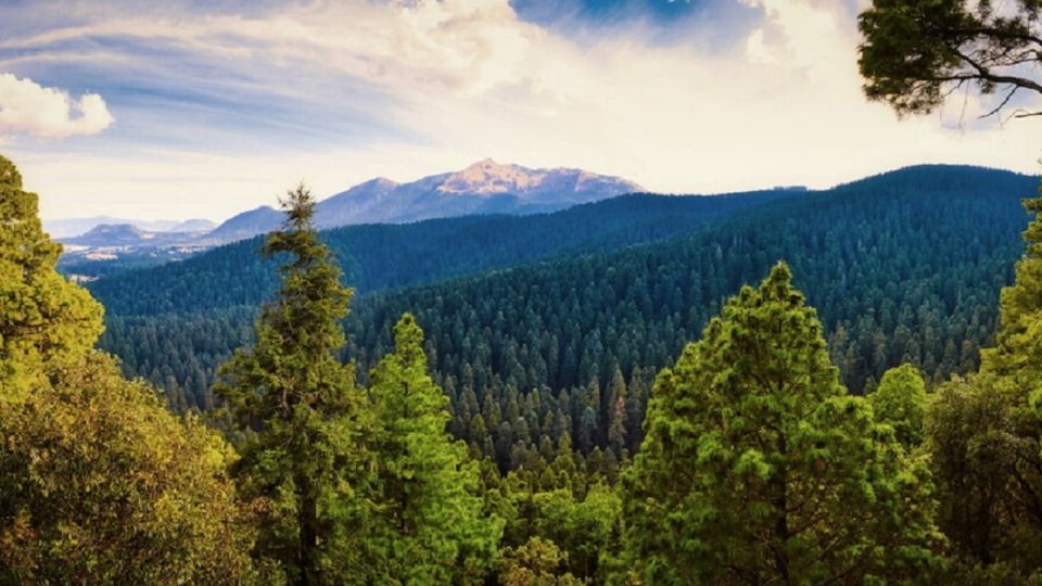 Cumbres del Ajusco, para visitar