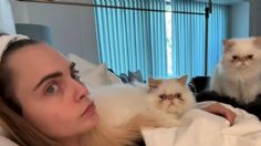 Cara Delevingne: incendio consume su mansión de 7 millones, sus gatos se salvan de milagro