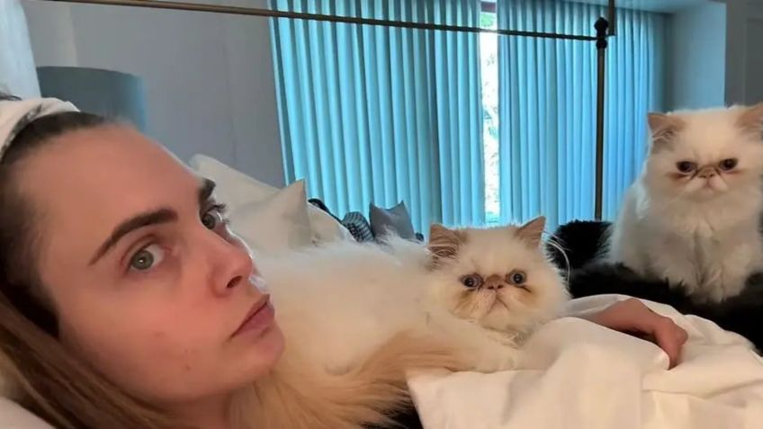 Cara Delevingne: incendio consume su mansión de 7 millones, sus gatos se salvan de milagro