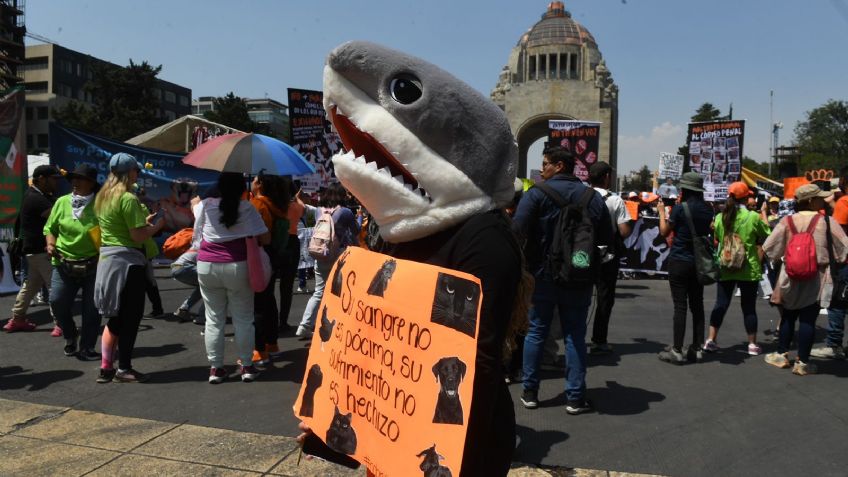 Marchan contra maltrato animal del Monumento a la Revolución al Zócalo