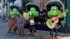 Regresan las ranas robadas a Señor Frogs Acapulco y así fueron recibidas