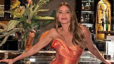 Sofia Vergara debuta como escritora y así lo presume en redes