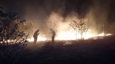 VIDEO: difunden impactante incendio en las faldas del Cañón del Sumidero en Chiapas