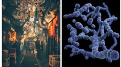 Bacteria carnívora se extiende a otros países más allá de Japón