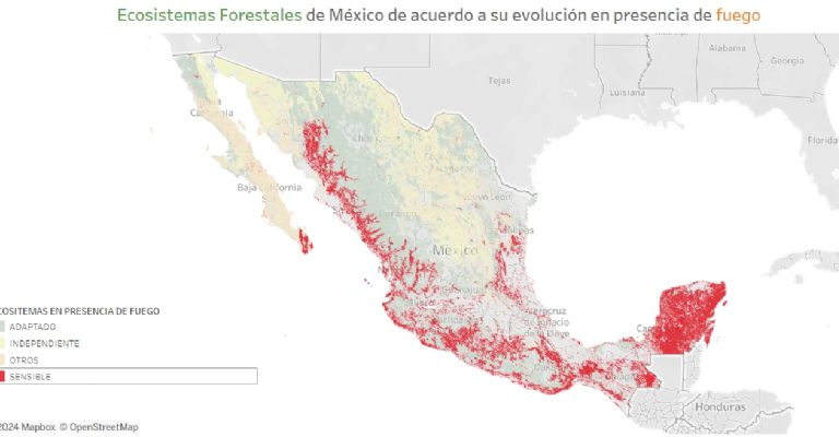 mapa incendios