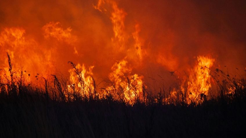 MAPA: estos son los estados con más incendios forestales en lo que va de 2024