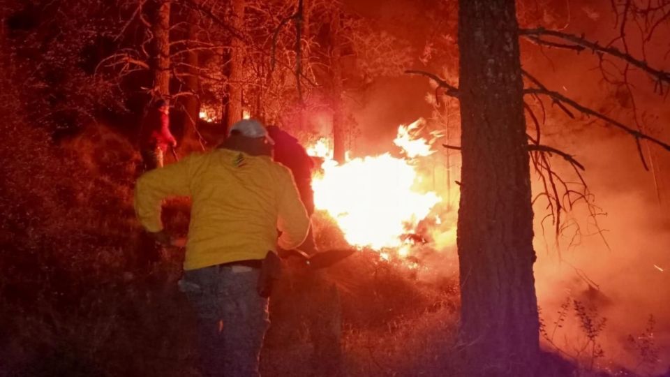 Personal de Bienes Comunales de Santiago Tlacotepec apoyaron en combatir el incendio