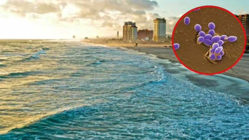 Semana Santa: Las playas no aptas para nadar por la bacteria “enterococcus faecalis”