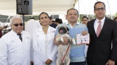 ¿Cuándo y dónde vacunar GRATIS a mi perro y gato este 2024?