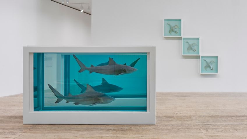 Damien Hirst invade el Museo Jumex