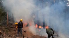 Mueren tres personas mientras combatían incendio forestal en el Estado de México