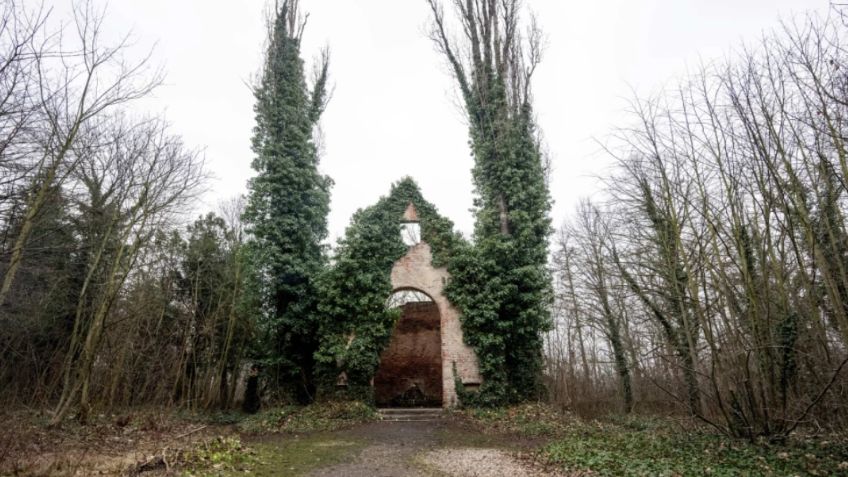 El "cementerio de los locos" de Praga esconde leyendas bajo la hiedra