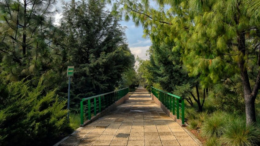 ¡Bienvenida primavera! Conoce tres jardines botánicos que puedes visitar gratis en la capital