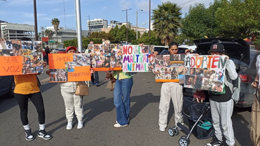 Activistas y organizaciones marchan en contra del maltrato y abandono animal en Tijuana 