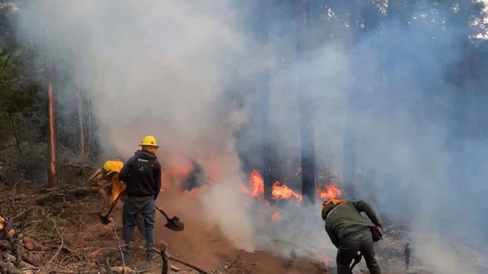 Decenas de elementos del gobierno estatal trabajaron arduamente para sofocar el incendio.