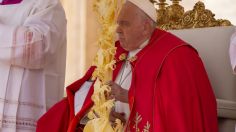 Papa Francisco omite lectura de la homilía en misa de Domingo de Ramos