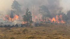 Llamas del incendio en Jilotzingo amenazan con consumir casas de la zona boscosa