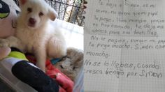 “No quiero que mi papá le pegue”: reviven la emotiva razón por la que niño dio en adopción a su perrito