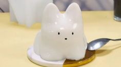 Aprende a preparar la gelatina coreana de leche más viral y kawaii en solo 3 pasos