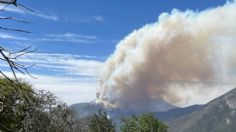 Fuerte incendio forestal consume sierra de Zaragoza al sur de Nuevo León