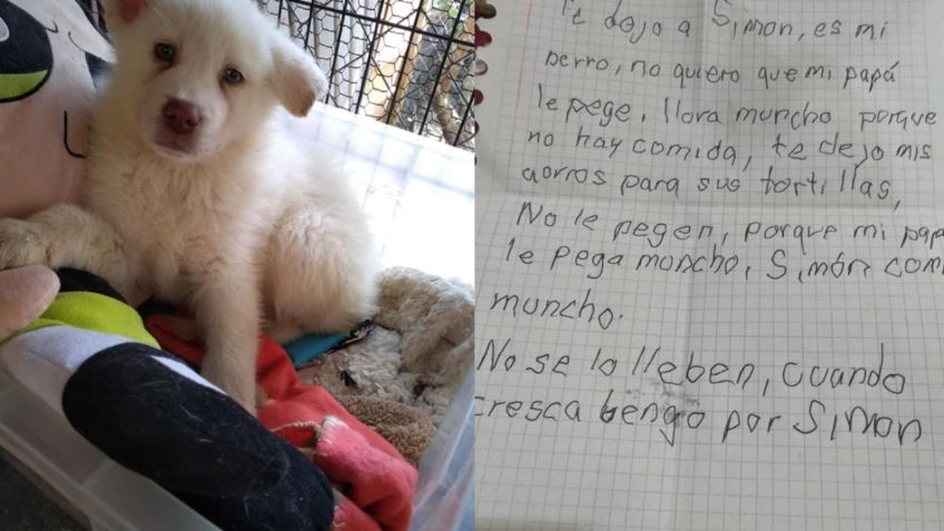 “No quiero que mi papá le pegue”: reviven la emotiva razón por la que niño dio en adopción a su perrito