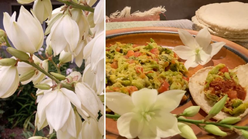 Comidas que puedes hacer con las chochas; sí, además de hermosas, son flores comestibles