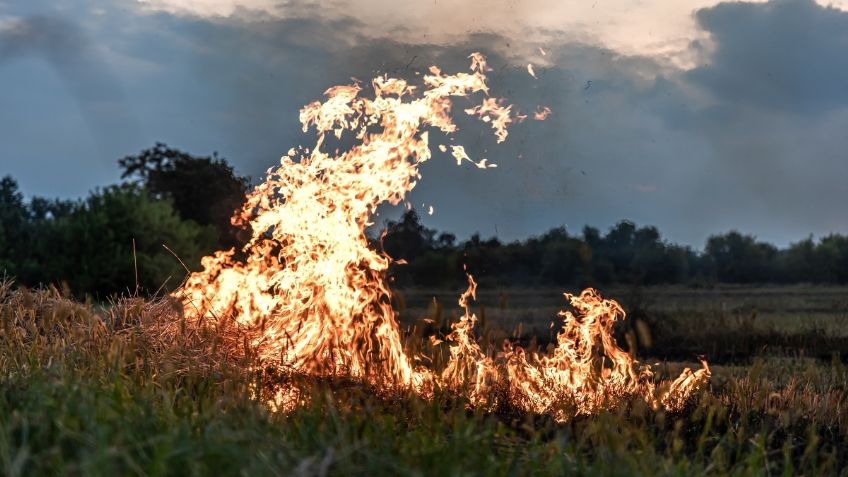 Reitera gobierno de Delfina Gómez seguimiento y atención a incendios forestales