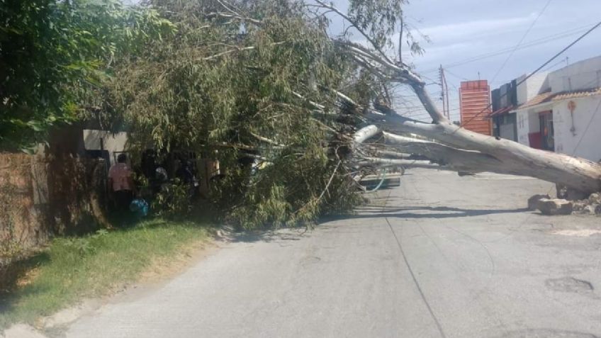 Desalojan edificios de San Luis Potosí por fuertes vientos