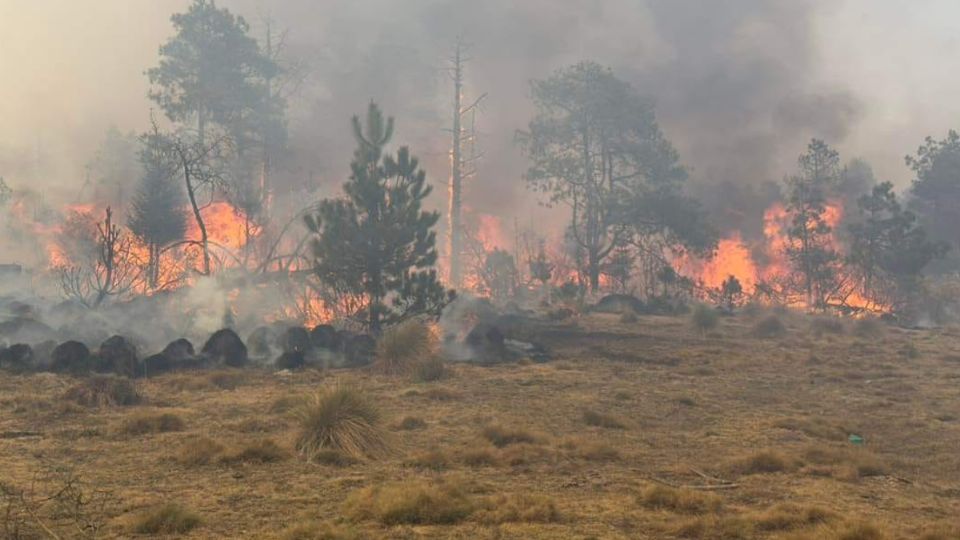 Incendio en Jilotzingo