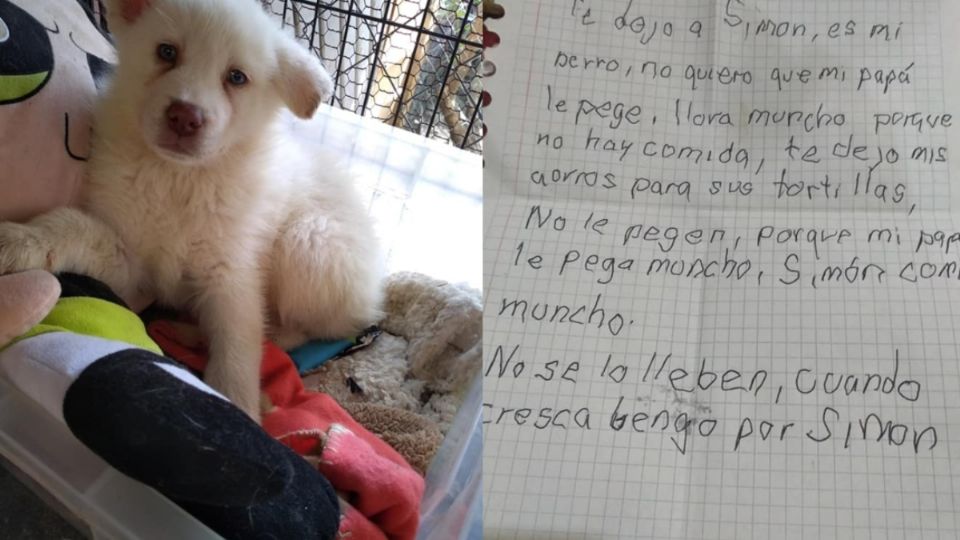 El menor dejó sus ahorros para la comida del perrito.