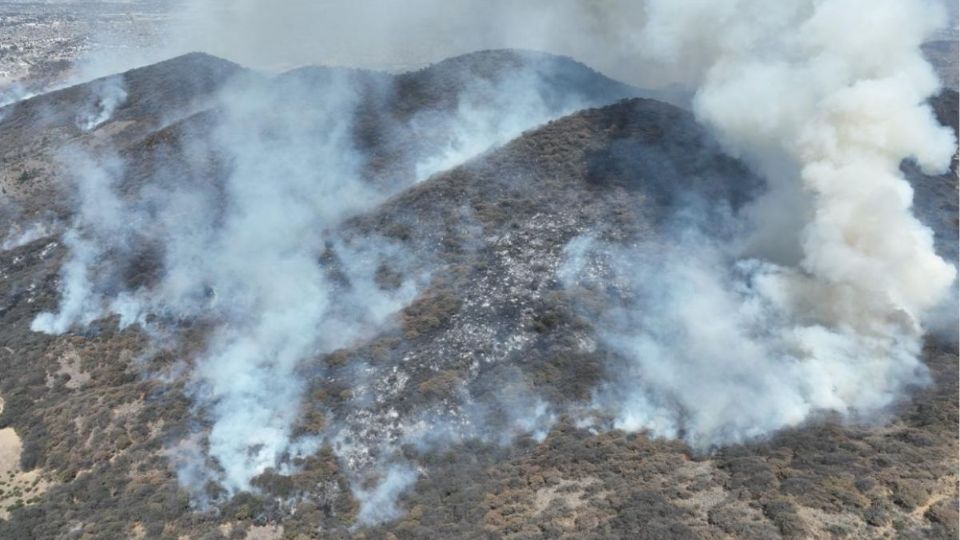 No habrán desarrollos urbanos donde hubo incendios forestales