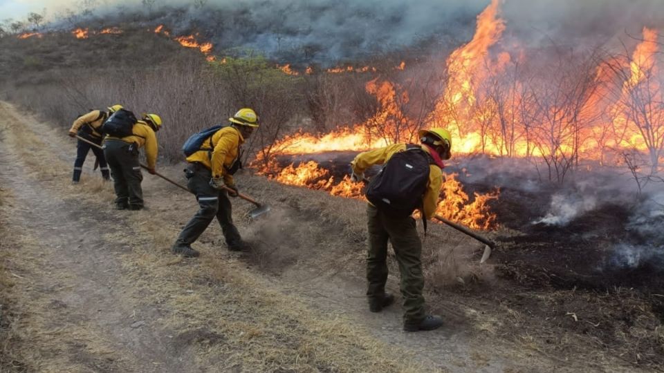 Se registra afectación en 125 hectáreas por incendios forestales en Maltrata, Huiloapan, Tehuacán y Soledad Atzompa.