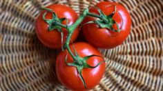 Cuál es el mejor lugar para guardar los tomates, según nutricionista experta