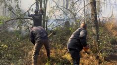 Incendios forestales en Jilotzingo han consumido más de 500 hectáreas