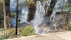 Se registra fuerte incendio en el Parque María Luisa ubicado en la GAM