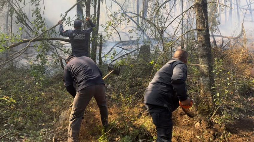 Incendios forestales en Jilotzingo han consumido más de 500 hectáreas