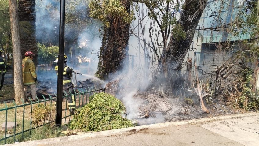 Se registra fuerte incendio en el Parque María Luisa ubicado en la GAM