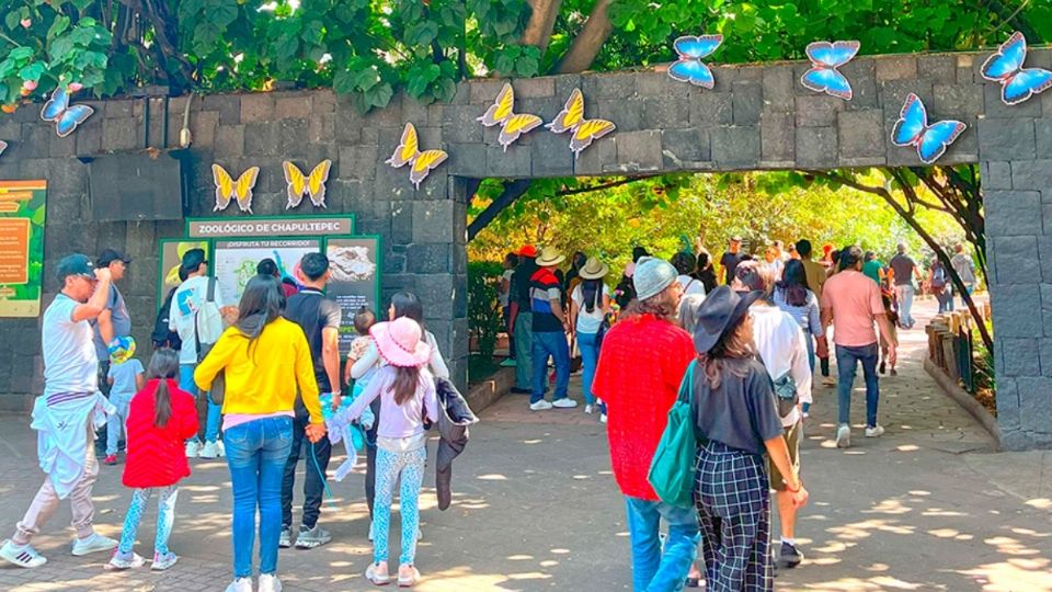 Durante el trayecto puedes rentar unos carritos con forma de animales para pasear a tus hijos por todo el zoológico