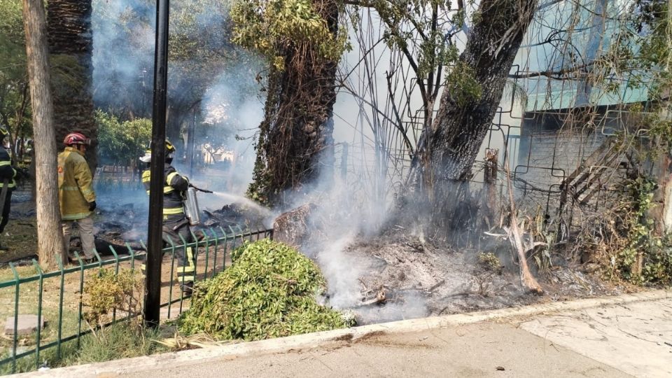 El siniestro se reporta en la colonia Industrial.