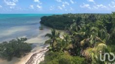 ¿Cuánto cuesta? En venta, Cayo Culebra, última isla virgen de la Riviera Maya | FOTOS