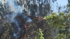 VIDEO: reportan fuerte incendio cerca de Parque La Mexicana en Santa Fe