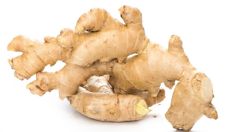 Conoce los 4 usos y beneficios del ginseng coreano, un componente activo para combatir el estrés